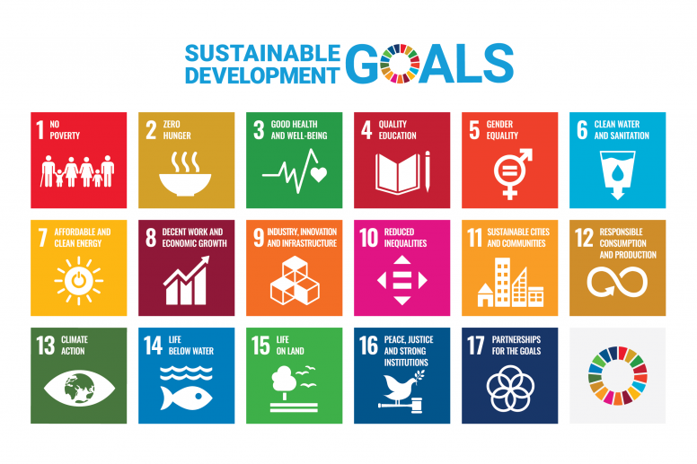 UN SDGs