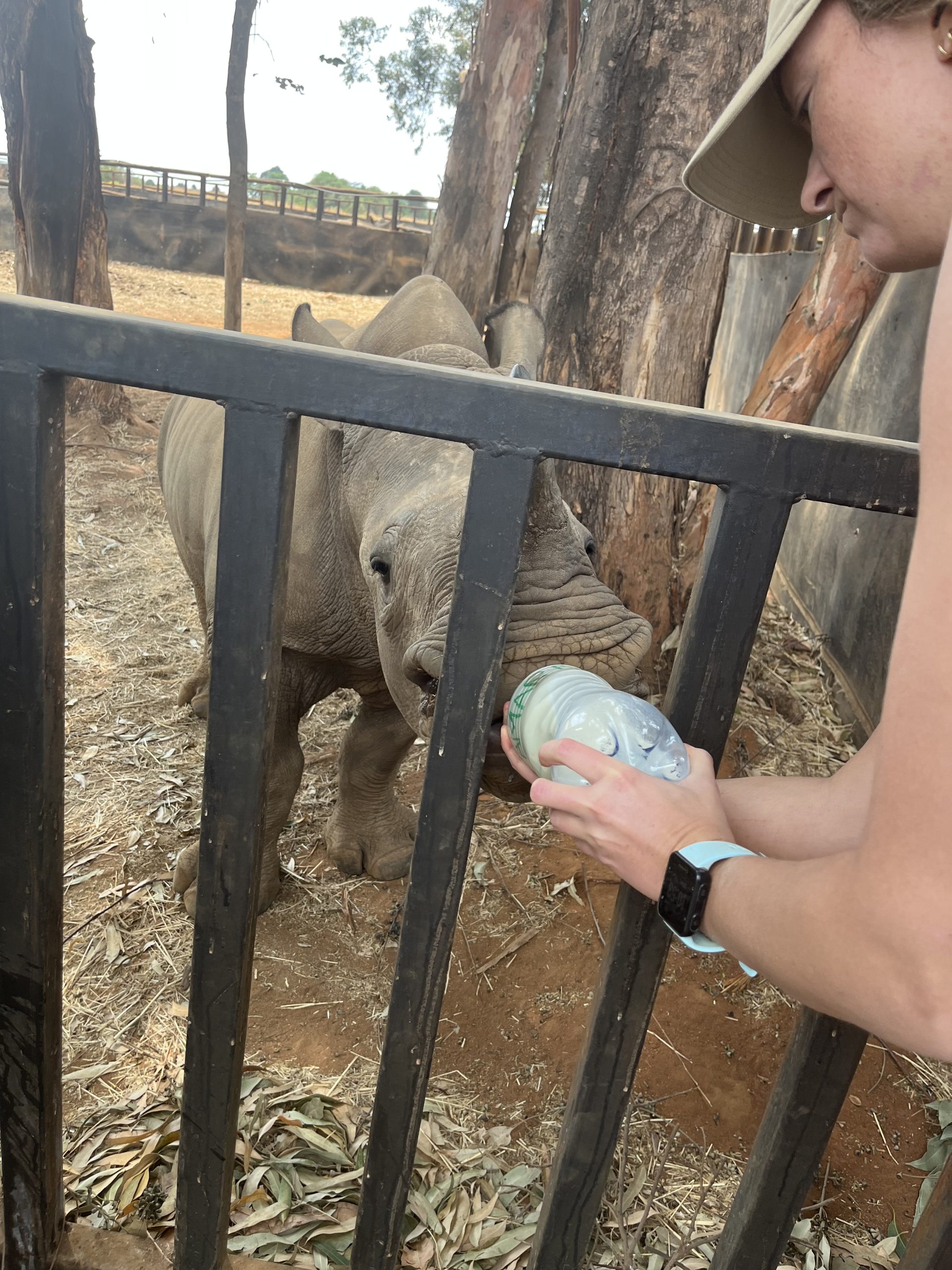 Lucy’s Proclaim £4,000 for Rhino Orphanage